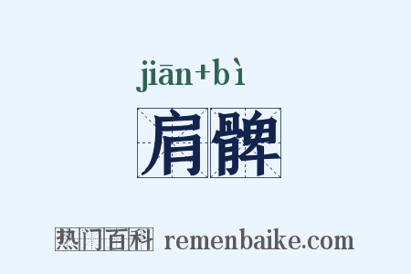 肩髀是什么意思的图片